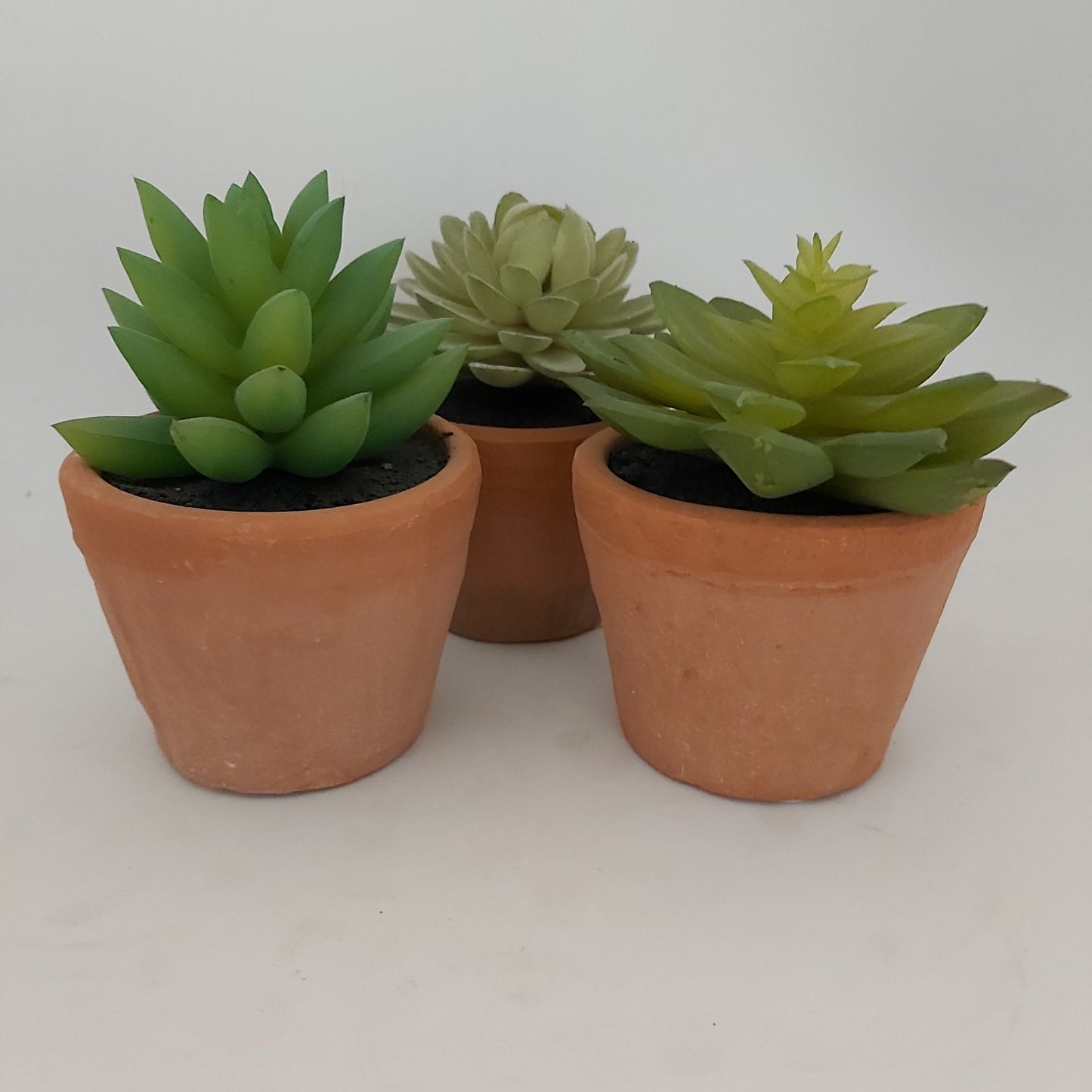 Potted Faux Succulents