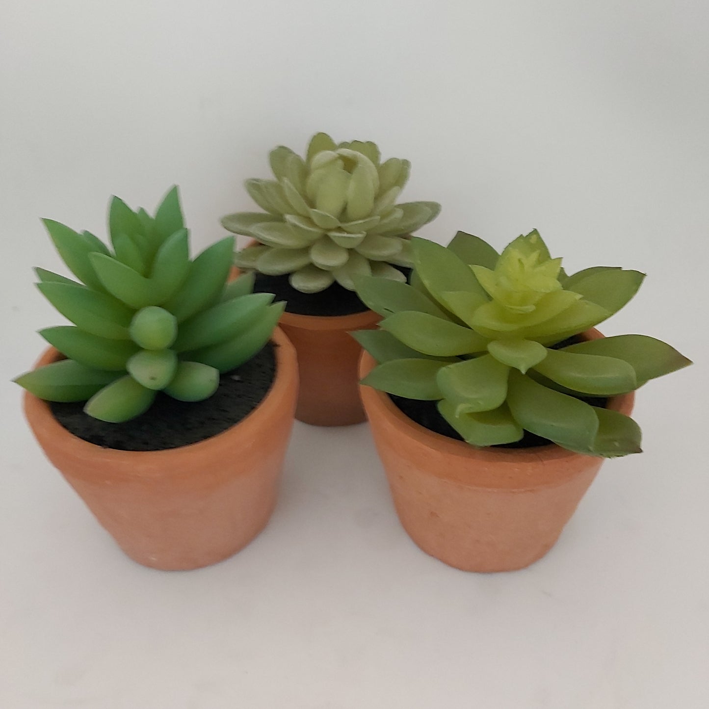 Potted Faux Succulents