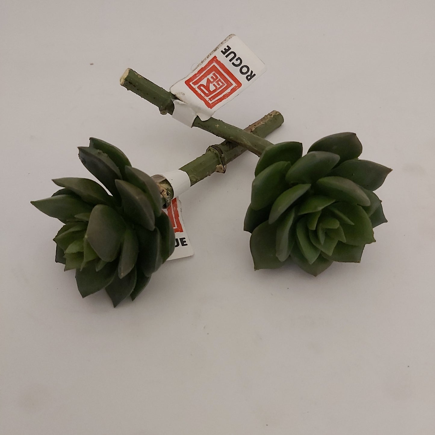 Rogue Faux Succulent Stems